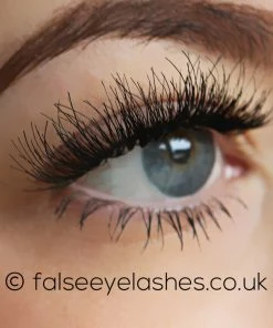 KoKo Lashes - Chloe New Arrivals