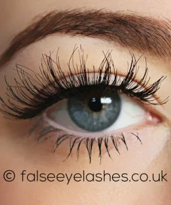 KoKo Lashes - Queen B New Arrivals