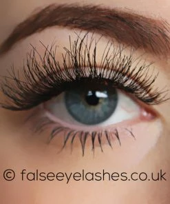 KoKo Lashes - Soho New Arrivals