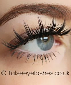 KoKo Lashes - Stella New Arrivals