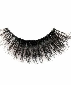 Land Of Lashes - Wing It Out