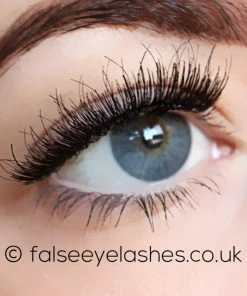 Lash Unlimited False Eyelashes - Style DBL #2 New Arrivals