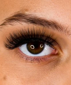 LashBase Beauty Natural False Eyelashes - LB01