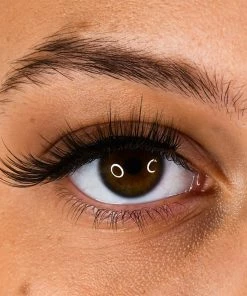 LashBase Beauty Natural False Eyelashes - LB05 New Arrivals