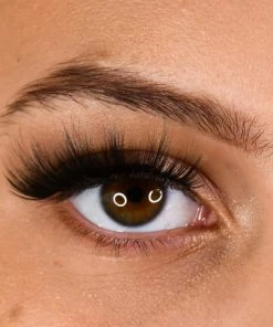 LashBase Beauty Volume False Eyelashes - LB06