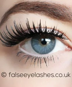 Lash XO LashXO False Eyelashes - Lexi Luxe