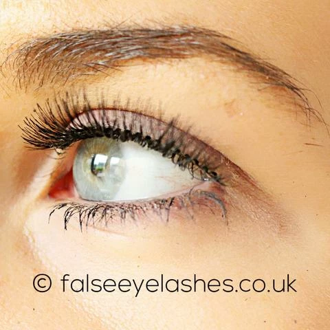 New Arrivals Red Cherry Lashes - #213 Harley Multipack (4 Pairs) 5 New Arrivals Red Cherry Lashes - #213 Harley Multipack (4 Pairs)