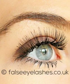 Red Cherry Lashes - #43 Stevi Multipack (4 Pairs)