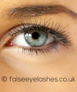 Red Cherry Lashes - #747S Primrose Multipack (4 Pairs) New Arrivals