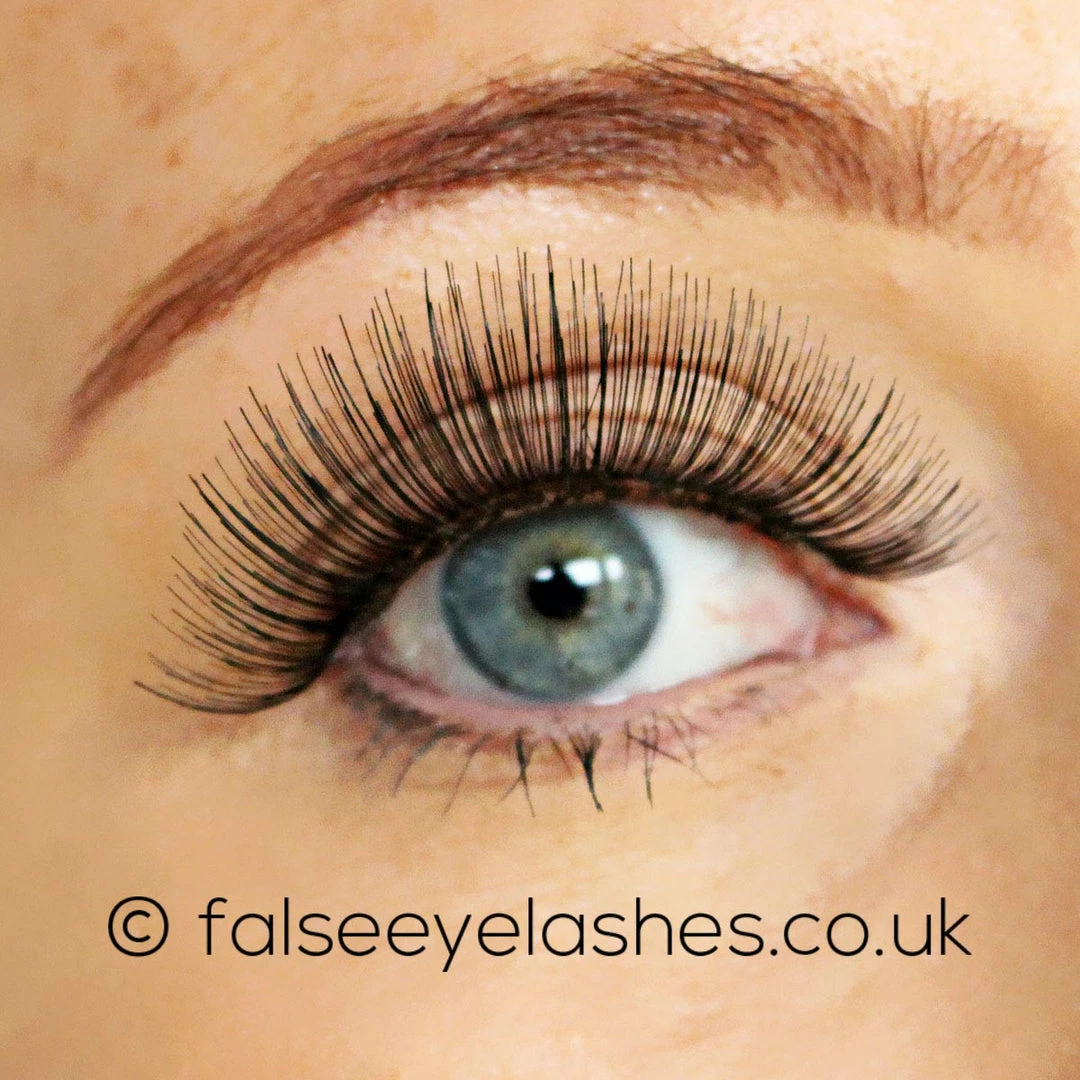 Red Cherry Lashes Style #100 (Cali) 5 Red Cherry Lashes Style #100 (Cali)