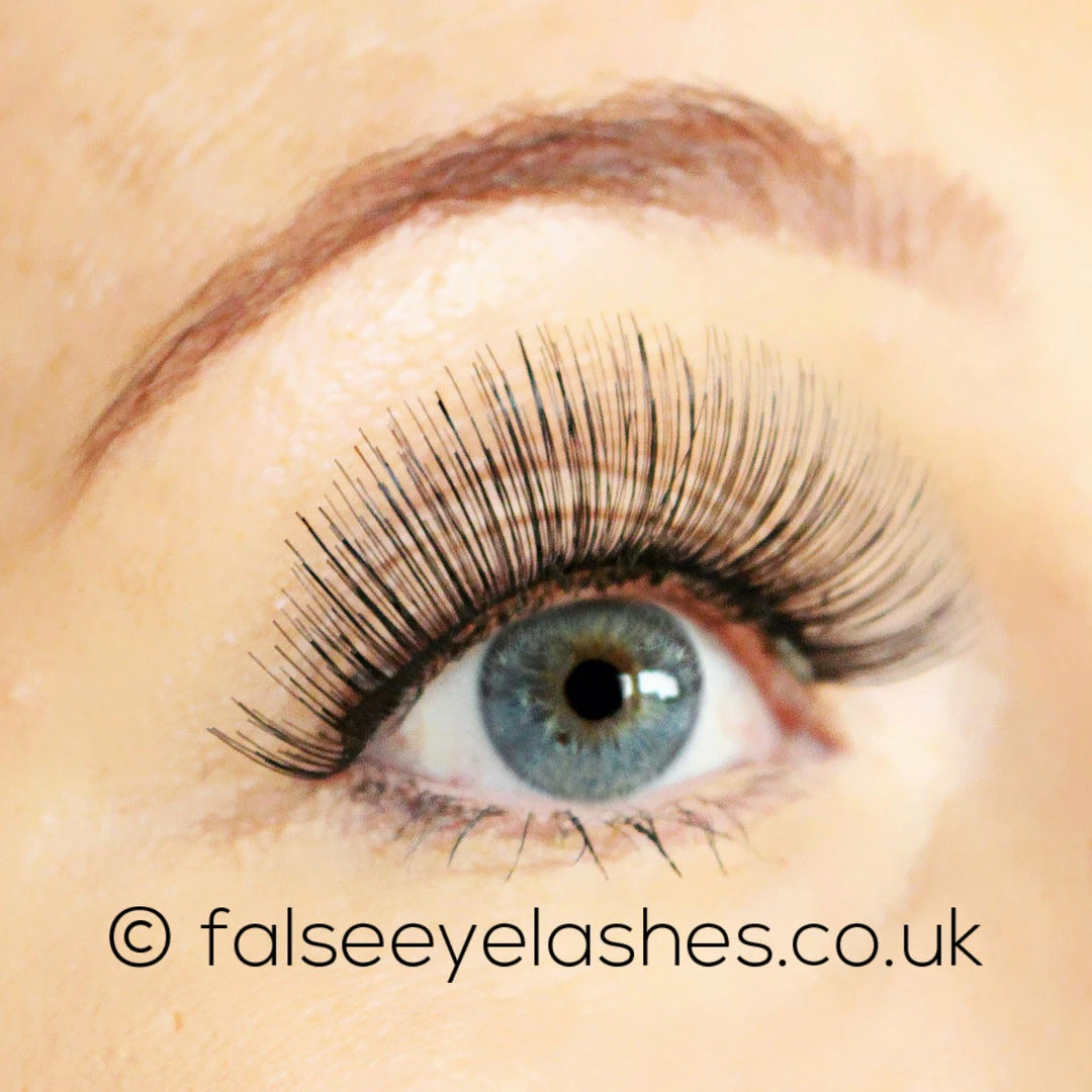 Red Cherry Lashes Style #100 (Cali) 6 Red Cherry Lashes Style #100 (Cali)