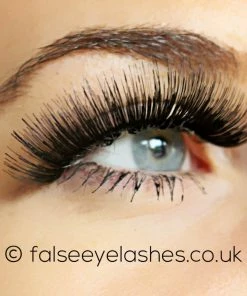 New Arrivals Red Cherry Lashes Style #101 (Blackbird) 10 New Arrivals Red Cherry Lashes Style #101 (Blackbird)