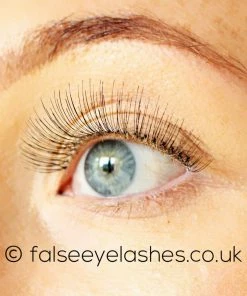 Best Sellers Red Cherry Lashes Style #412 Dylan (BUNDLE OF 5 PAIRS)