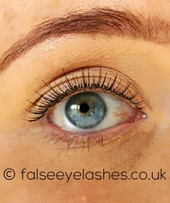 Red Cherry Lashes Style #601 (Dolce) New Arrivals 8 Red Cherry Lashes Style #601 (Dolce) New Arrivals