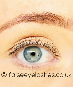 New Arrivals Red Cherry Lashes Style #747XS (Branson) 8 New Arrivals Red Cherry Lashes Style #747XS (Branson)