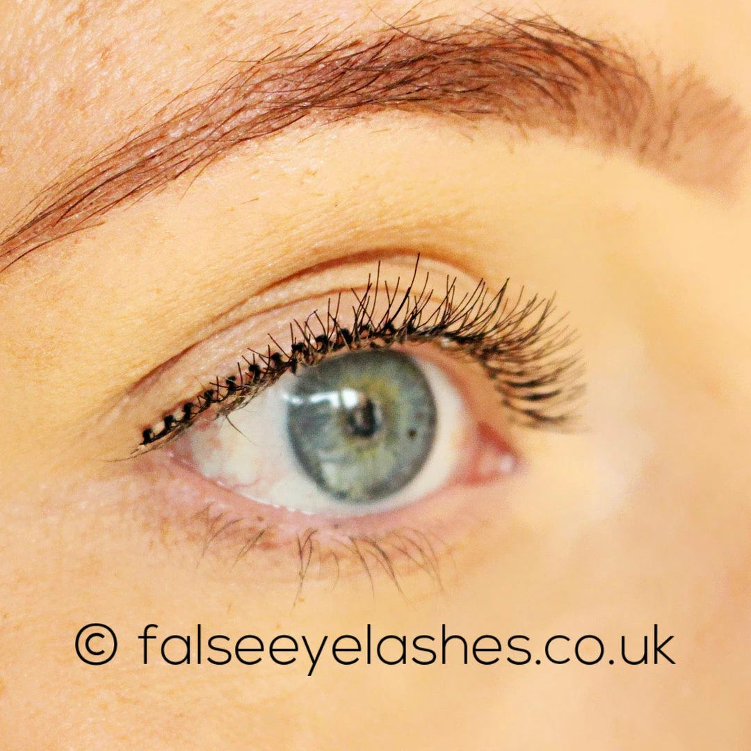 New Arrivals Red Cherry Lashes Style #747XS (Branson) 6 New Arrivals Red Cherry Lashes Style #747XS (Branson)