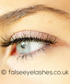 Red Cherry Lashes Style #82 (Hudson) 9 Red Cherry Lashes Style #82 (Hudson)