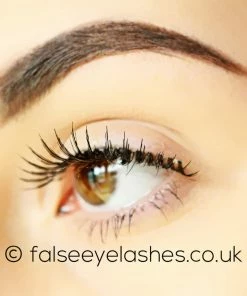 Red Cherry Lashes Style #99 (Kennedy) 9 Red Cherry Lashes Style #99 (Kennedy)