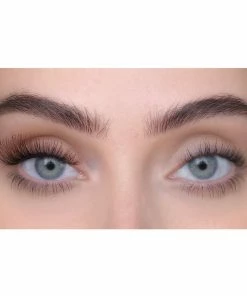 SWEED Lashes - Caro (Brown)