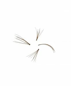 SWEED Lashes - Choco (Brown) New Arrivals