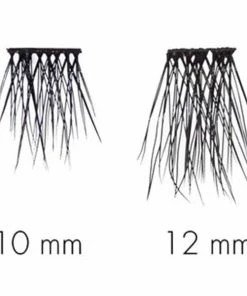 SWEED Lashes - Cluster 3D Long New Arrivals