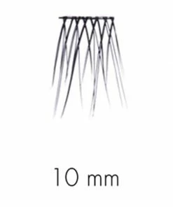 SWEED Lashes - No Lash Cluster 10mm New Arrivals