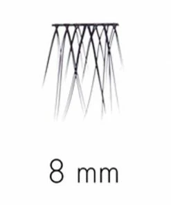 SWEED Lashes - No Lash Cluster 8mm
