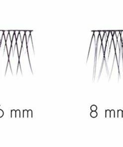 SWEED Lashes - No Lash Cluster Short