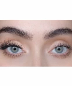 New Arrivals SWEED By Terry - Terryfic 3D