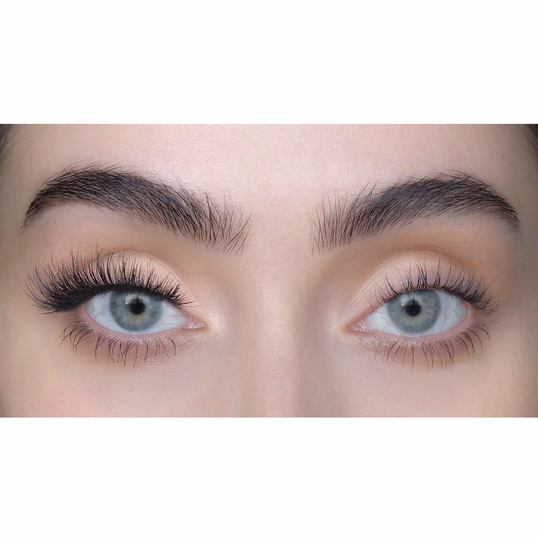 New Arrivals SWEED By Terry - Terryfic 3D 4 New Arrivals SWEED By Terry - Terryfic 3D